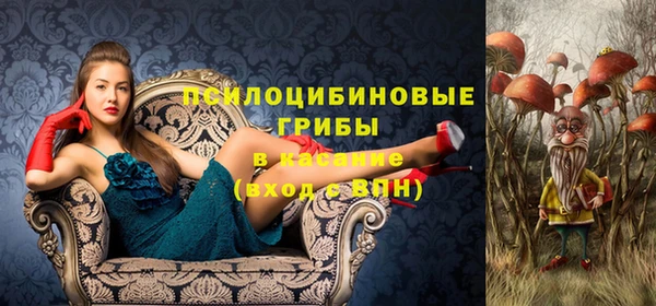 круглые Алексеевка