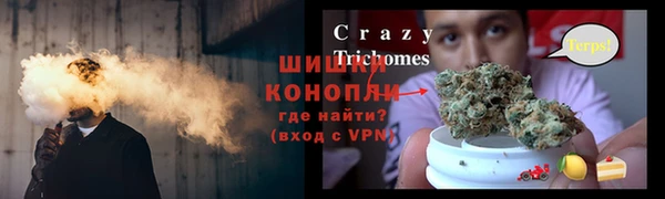 стафф Алзамай