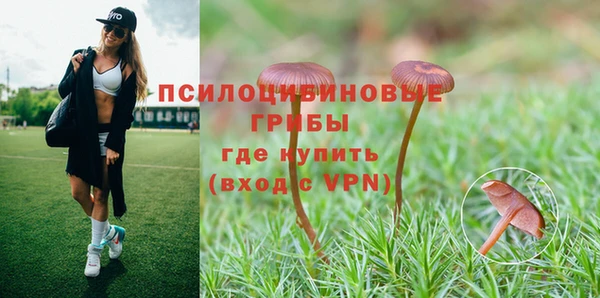 стафф Алзамай