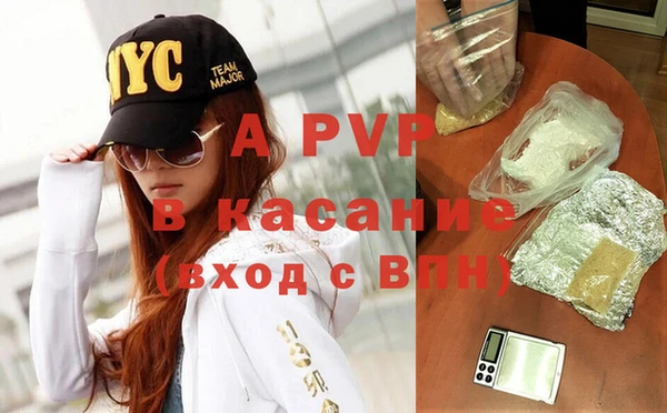 стафф Алзамай