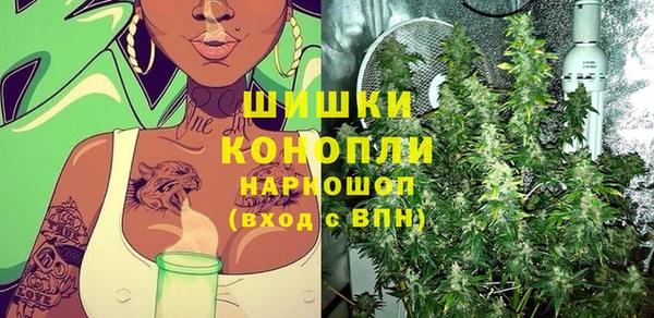 spice Аркадак
