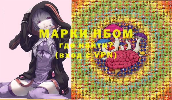 стафф Алзамай